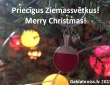 Priecīgus Ziemassvētkus!